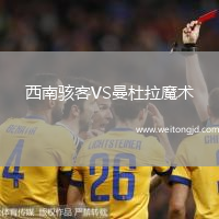 西南駭客VS曼杜拉魔術