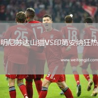 明尼蘇達山貓VS印第安納狂熱