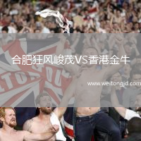 合肥狂風峻茂VS香港金牛