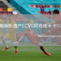 戴維斯遺產(chǎn)SCVS阿克德米卡SC