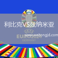 利比克VS茲納米亞