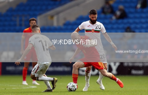 學術DBVS布魯明