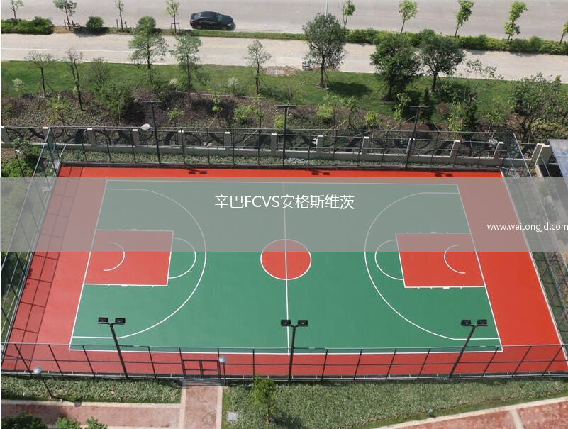 辛巴FCVS安格斯維茨