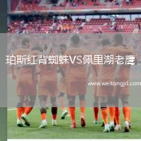 珀斯紅背蜘蛛VS佩里湖老鷹