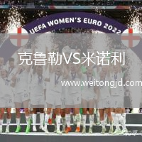 克魯勒VS米諾利