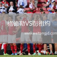 格德勒VS彭祖約