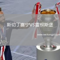 斯切丁喜寧VS雷根斯堡