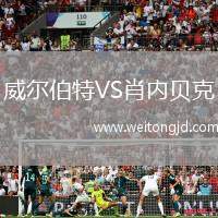 威爾伯特VS肖內貝克