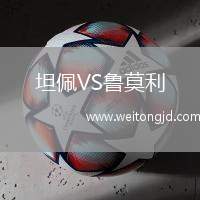 坦佩VS魯莫利