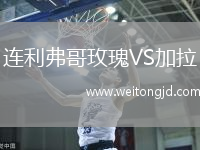 連利弗哥玫瑰VS加拉