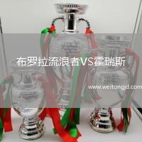 布羅拉流浪者VS霍瑞斯